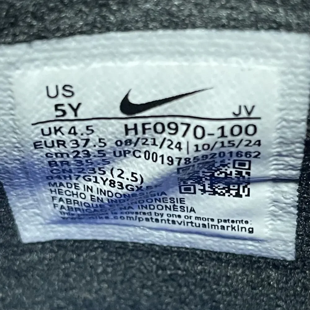 Nike dunk shoe